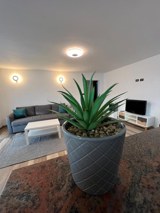 Sunny Luxury Home G. Enescu Sučava Exteriér fotografie